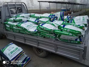 非瘟時代，裝卸品質 守護養殖安全的堅實防線